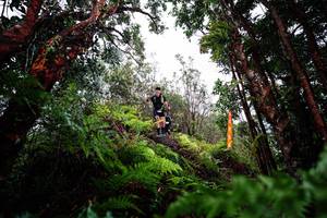 BIB: 
                            <button type="button" onclick="openModal(26204239)" class="btn btn-primary btn-sm float-right btn-popup" data-toggle="modal" data-target=".modal-high-quality">
                        <i class="fas fa-shopping-cart"></i> Add to Cart
                    </button>
                                            <button type="button" onclick="isThisMe(26204239, true)" class="btn btn-success btn-sm float-right btn-popup btn-isme hidden" data-toggle="tooltip" data-placement="bottom" title="นี่คือรูปของคุณใช่ไหม คลิกที่นี่เพื่อเอาเข้าอัลบั้ม">
                        <i class="fas fa-plus"></i> Add to album
                    </button>
                    <button type="button" onclick="isThisMe(26204239, false)" class="btn btn-warning btn-sm float-right btn-popup btn-isnotme hidden">
                        <i class="fas fa-ban"></i> Remove from album
                    </button>